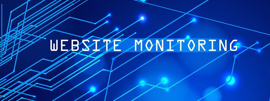 Website Monitoring 